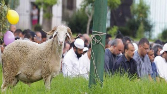 بينها المغرب .. دول تحتفل بأول أيام عيد الأضحى الخميس