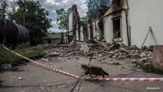 A cat walks in a front of a building destroyed by a military strike, as Russia's attack on Ukraine continues, in Lysychansk, Luhansk region, Ukraine June 17, 2022. REUTERS/Oleksandr Ratushniak