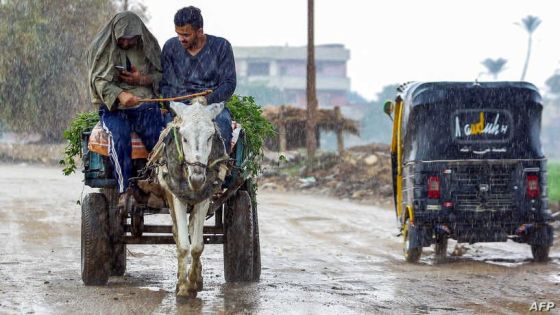 A man browses his phone as he controls a donkey pulling a cart on the side of the road during heavy rain in el-Ayyat, south of the Egyptian capital on December 16, 2020. (Photo by Khaled KAMEL / AFP)