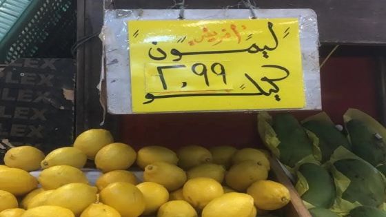 ارتفاع جديد لأسعار الليمون داخل المحلات التجارية
