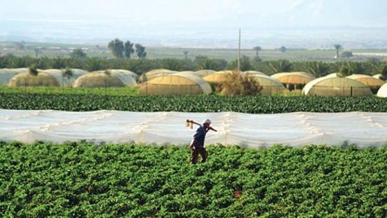 10 ملايين يورو من فرنسا لدعم الزراعة بالأردن