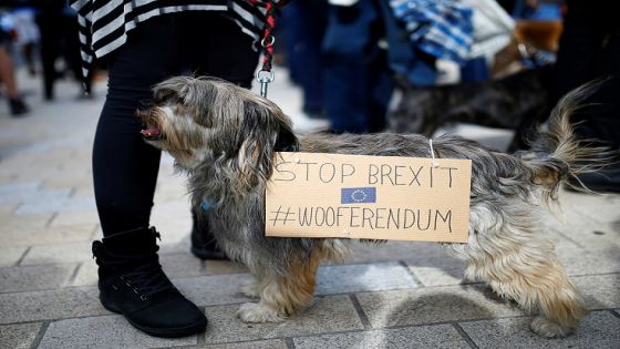 Anti-Brexit protesters and their dogs join a march called 'Wooferendum", in London, Britain October 7, 2018. REUTERS/Henry Nicholls