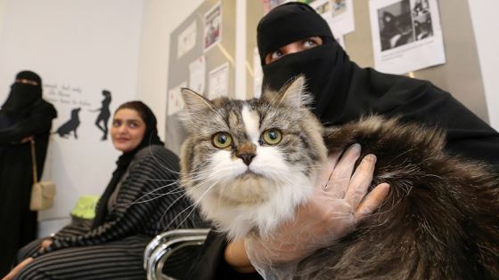 A Saudi woman holds her cat at Riyadh's animal shelter, dedicated to caring for animals amid fear that cats and dogs might contract or transmit the coronavirus disease (COVID-19), Riyadh, Saudi Arabia May 4, 2020. Picture taken May 4, 2020. REUTERS/Ahmed Yosri