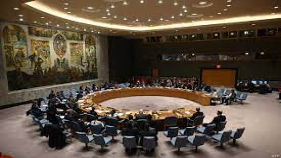 مجلس الأمن يمدّد حظر الأسلحة المفروض على جنوب السودان عاماً
