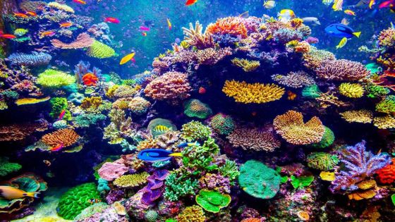 دراسة جينية سعودية تكشف عن تنوع أحيائي غير مسبوق في البحر الأحمر