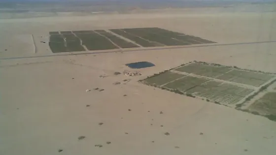 الحيصة : العمل جارٍ لإنشاء منطقة تنموية اقتصادية في وادي عربة