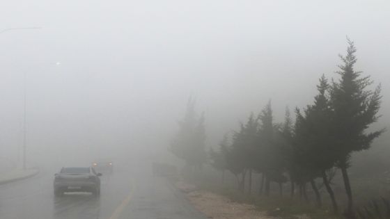أجواء باردة وماطرة وتحذيرات من تدني الرؤية الأفقية