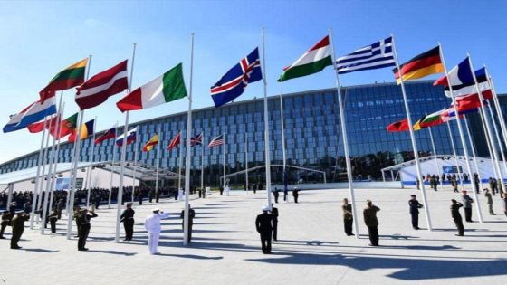 لم يدعموا حرب إيران.. البنتاغون يدرس معاقبة أعضاء بالناتو