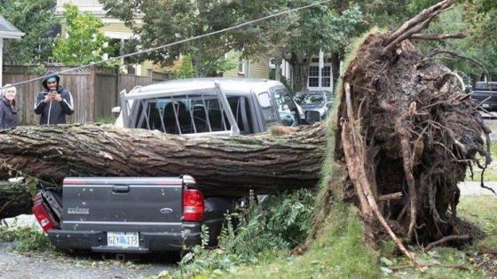إعصار يقطع الكهرباء عن 130 ألف شخص في كندا