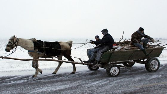 Villagers carry fire wood in a horse driven cart near Dragos Voda village, 120 km (74 miles) east of Bucharest February 4, 2012. At least 139 people have died across Eastern Europe and Germany since the cold snap began, interrupting what had been an unusually mild European winter. More than 56 trains were cancelled on Friday in Romania due to heavy blizzards. REUTERS/Radu Sigheti (ROMANIA - Tags: SOCIETY ENVIRONMENT)