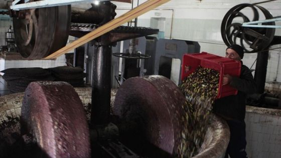 الحكومة توافق على دعم صادرات زيت الزيتون بمليون دينار