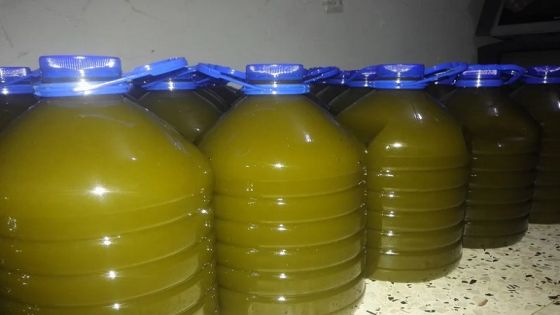 القبض على أكبر مروج لزيت الزيتون المغشوش في الأردن