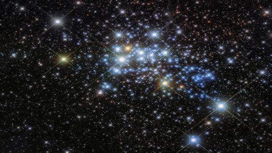 A young super star cluster known as Westerlund 1 in an image released by NASA on March 10, 2017. Light travels through space at just under 300 000 kilometres per second. This staggering speed is used to calculate astronomical distances; although often misinterpreted as a unit of time (due to its misleading name), a light-year is actually a unit of astronomical distance, and is defined as the distance that light travels in a year. With this in mind, 15 000 light-years may sound like a truly huge distance, but compared to the vastness of the cosmos, it’s really quite nearby. In fact, an object sitting 15 000 light-years away would not even be outside our home galaxy, the Milky Way. This is roughly the distance between us and a young super star cluster known as Westerlund 1, home to one of the largest stars ever discovered, originally named Westerlund 1-26. It is a red supergiant (although sometimes classified as a hypergiant) with a radius over 1500 times that of our Sun. If Westerlund 1-26 were placed where our Sun is in our Solar System, it would extend out beyond the orbit of Jupiter. The cluster is relatively young in astronomical terms — at around three million years old it is a baby compared to our own Sun, which is some 4.6 billion years old. NASA/ESA/Hubble Space Telescope/Handout via REUTERS ATTENTION EDITORS - THIS IMAGE WAS PROVIDED BY A THIRD PARTY
