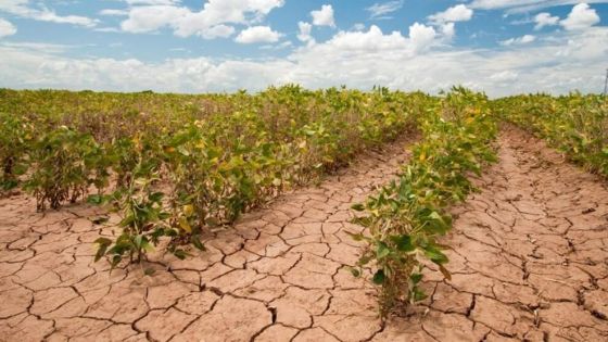 تأثيرات سلبية على الزراعة والثروة الحيوانية جراء موجة الحر