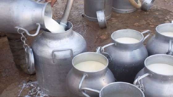 الحظر يهدد بتلف آلاف أطنان الحليب.. ومزارعون يستغيثون