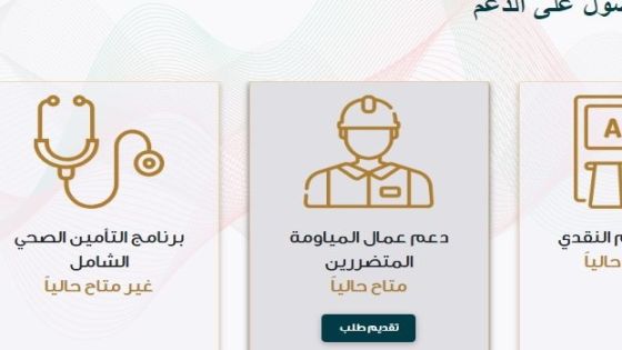 شكوى من عمال المياومة حول برنامج الدعم التكميلي