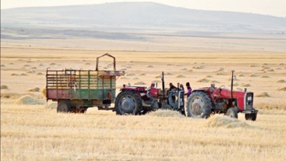 مزارعون يؤكدون عدم زراعة أراضيهم الموسم المقبل جراء الخسائر