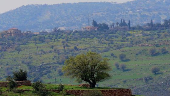 أجواء صيفية اعتيادية في أغلب المناطق اليوم وغدا