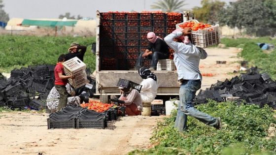 العمل تدعو العمالة السورية الحصول على تصاريح