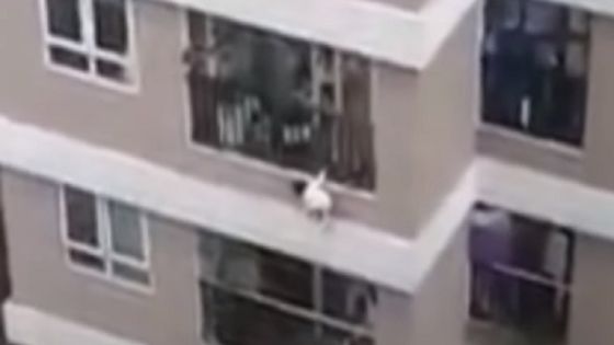 فيديو لـ بطل خارق يمسك بطفلة سقطت من الطابق الـ12