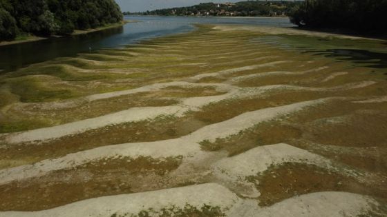 A view of dried river bed of the Danube in Banastor, Serbia August 16, 2022. REUTERS/Fedja Grulovic