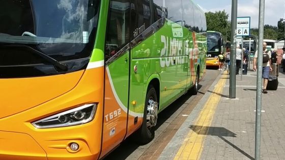 أمانة عمان تطرح عطاء لـ 151 حافلة