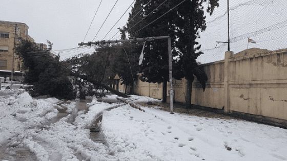 الخرابشة: تقرير انقطاع الكهرباء بالثلوج لم يقرّ بعد