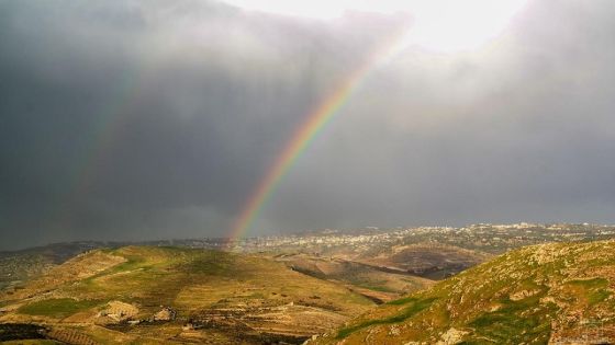 أمطار نيسان تنعش آمال المزارعين الأردنيين