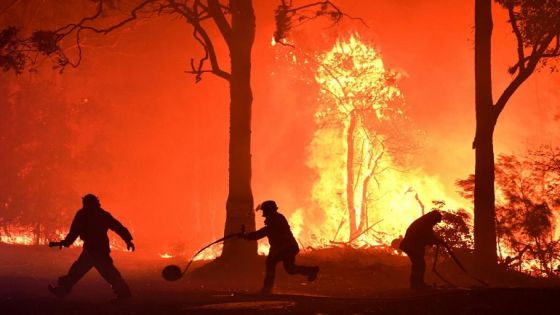 الخارجية : لم نبلغ عن إصابة أي أردني بحرائق غابات قبرص