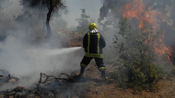 التحقيقات الأولية: إهمال أحد المزارعين سبب حريق عجلون